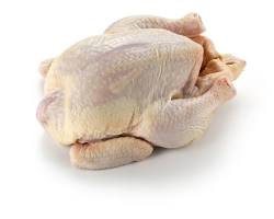 Poulet entier 1.3-1.5 kg